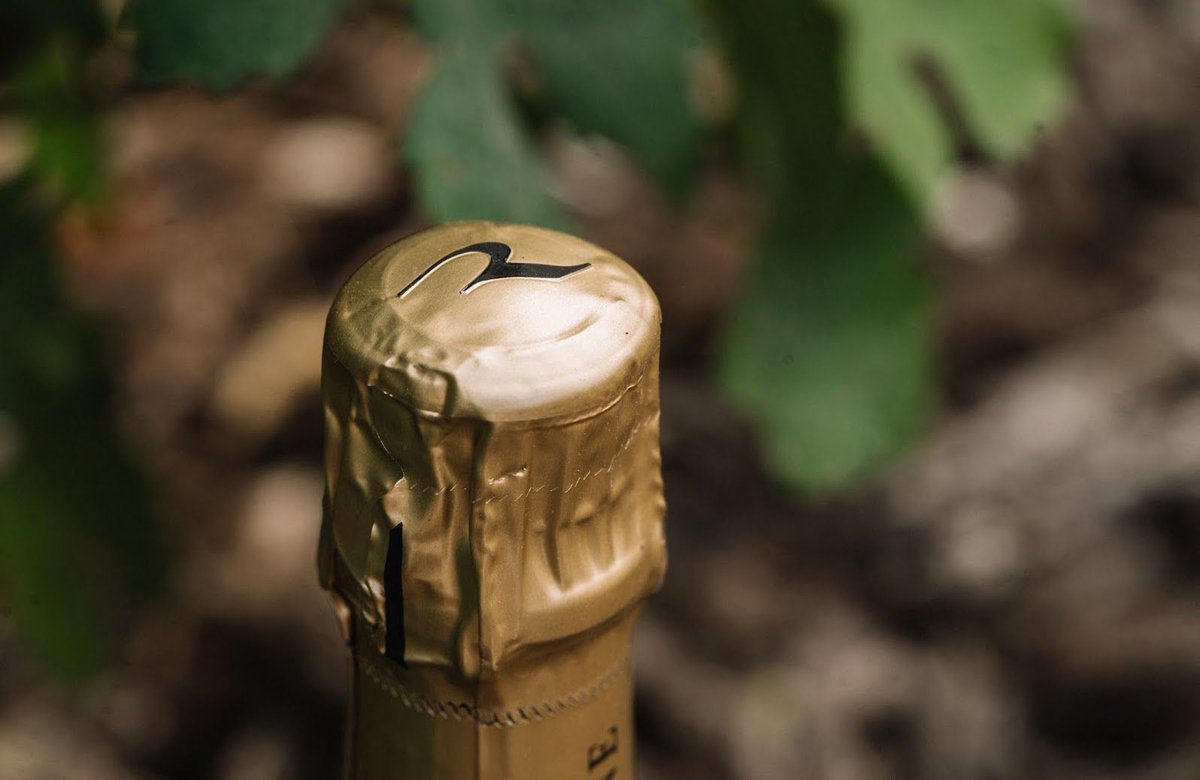 Where to find Champagne REGI ? Relish a glass of Champagne REGI at the sumptuous Gleneagles Hotel in the beautiful hills of Perthshire, in Scotland.
#champagne #champagneREGI #gleneagles #gleneagleshotel #luxury #luxurydrink #champagneeverywhere #champagnemoments #champagnelovers