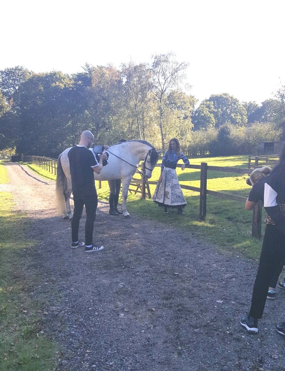 AmandaBirchDressage tweet media