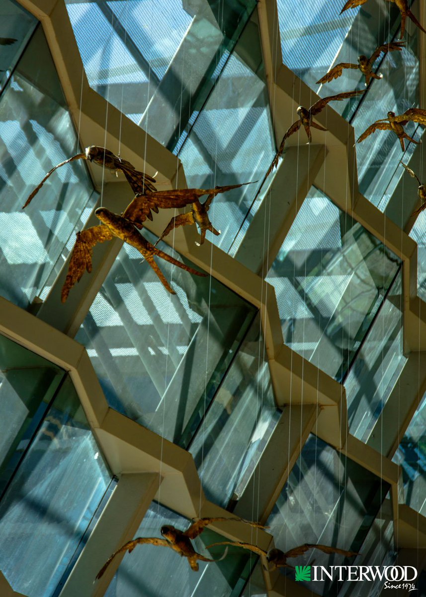 interwoodmobel's tweet image. Art is joy for the senses, and travelers at the #IIAP are treated to visual delight every time they walk though it. Gathering tremendous artworks of immense beauty in one place was a task #Interwood took and finished gladly. 
 #InterwoodProjects #ARCOP  #InterwoodAtIIAP