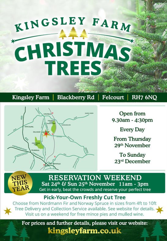 Christmas Trees East Grinstead tweet media