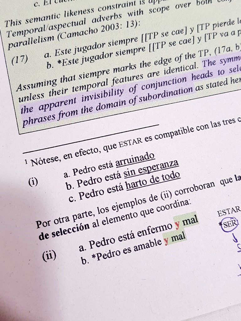 agatalvrs's tweet photo. Soy Pedro https://t.co/rnravfZn67