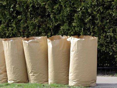 cityofdekalb_IL's tweet photo. The forecast calls for heavy snow Sun/Mon, which may force Public Works to cease leaf collection for the year. Residents may wish to bag leaves this weekend for pickup by @LRSrecycles during this final week of yard waste pickup. https://t.co/1glOPfgli4