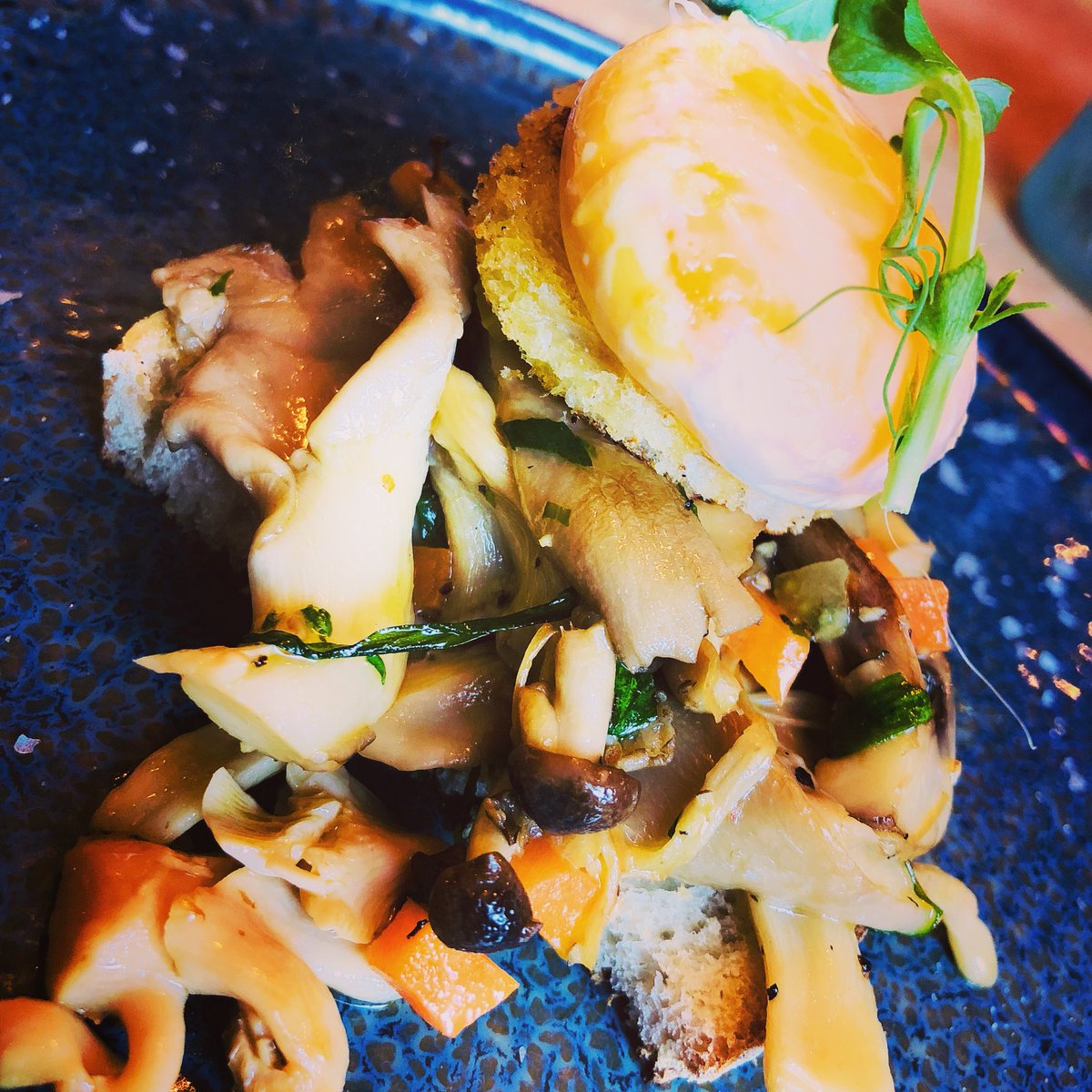 One of our seasonal special starters or appetiser, Wild mushroom with duck egg confit served on toasted sourdough roll - perfect with a glass or two of Pinot Grigio #mushroom #wildduck #gourmet #foodporn #food #restaurant #bar #worldsbestbars #wine