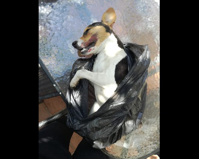 Funas CL tweet media