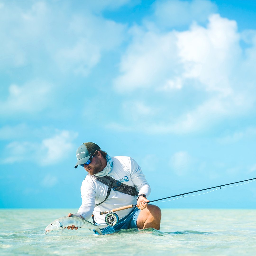 CostaSunglasses's tweet photo. Blue days are for gray ghosts. #wildblueweek
Learn more at https://t.co/ws6yRcUsOr. https://t.co/ef1FCAnaas