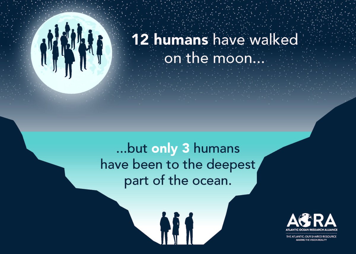 [DID YOU KNOW?] 💡 The ocean is an undiscovered frontier.  ⬇️