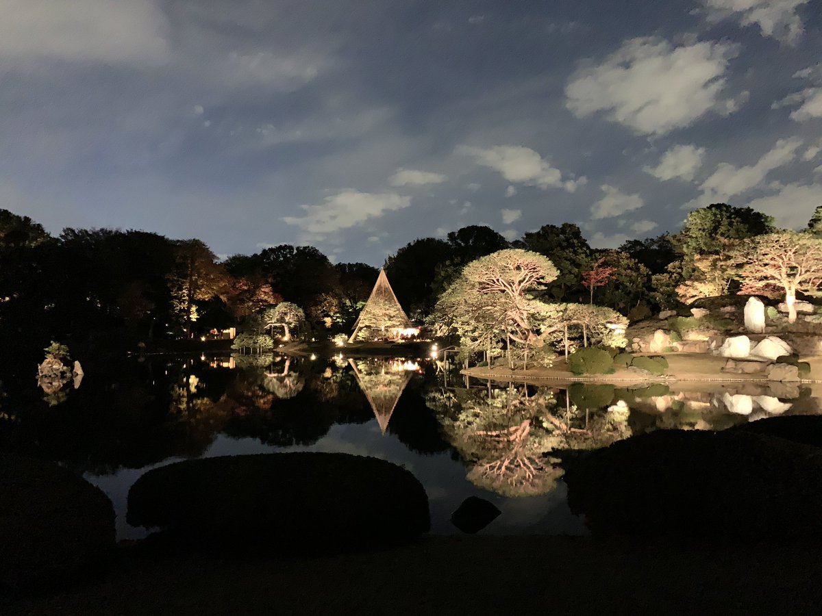 In this season, we can enjoy the lighting at the beautiful Japanese traditional garden, #Rikugien in #Tokyo.