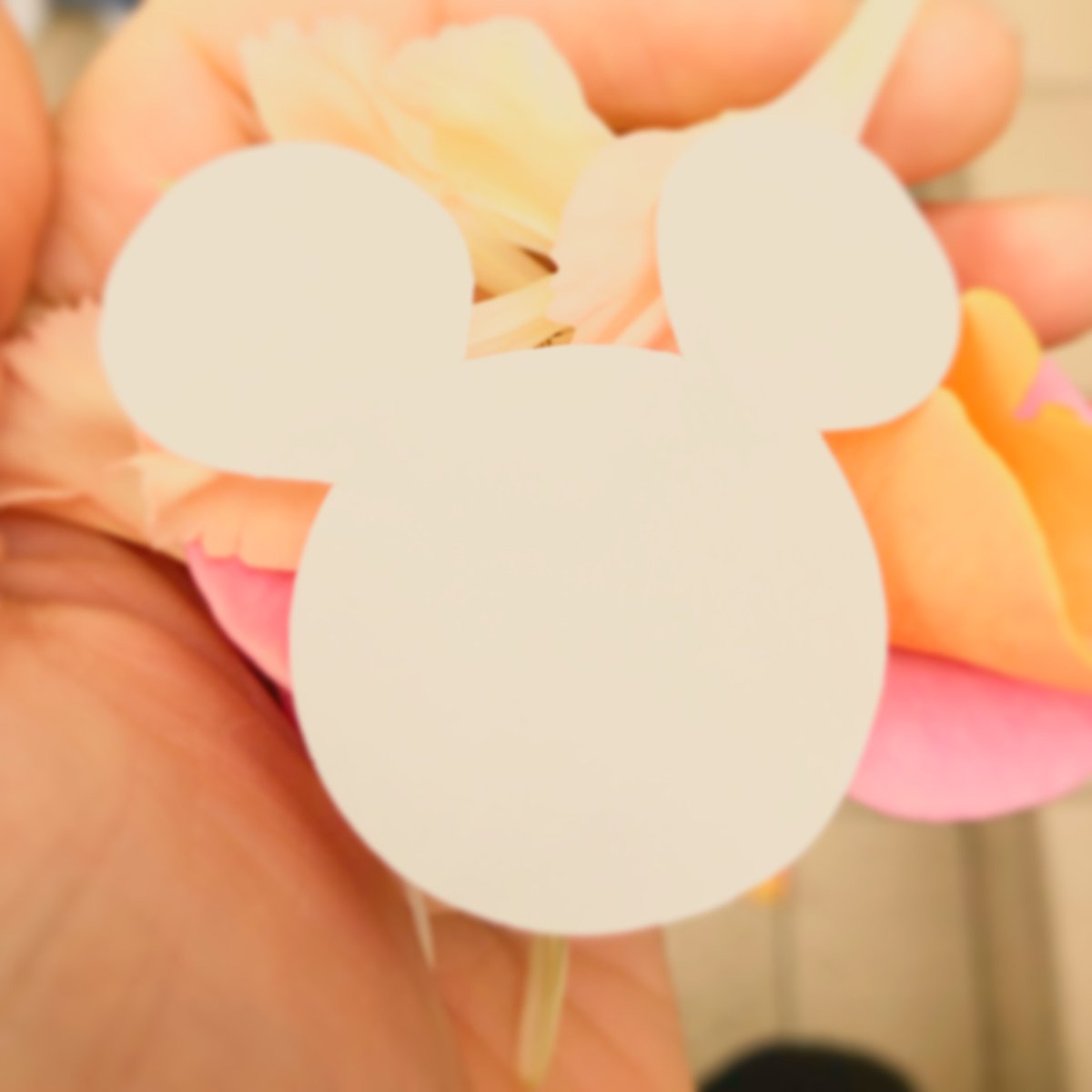ディズニー結婚式 ディズニー結婚式