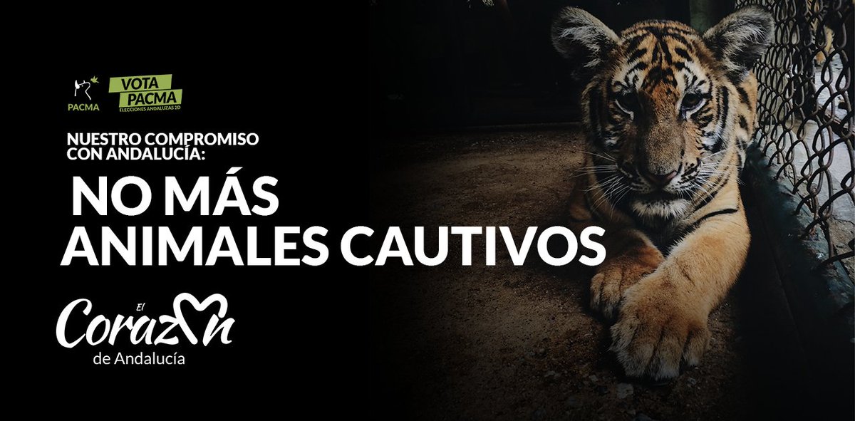 Si no te gusta ver a los animales tristes #VotaPACMA para acabar con su cautiverio en zoos y acuarios. 🐅💔

✅ Pedimos la prohibición de mantener animales cautivos para exposición y entretenimiento
✅ Reconvertir zoos en centro de recuperación y rescate
#ElCorazónDeAndalucía 💚