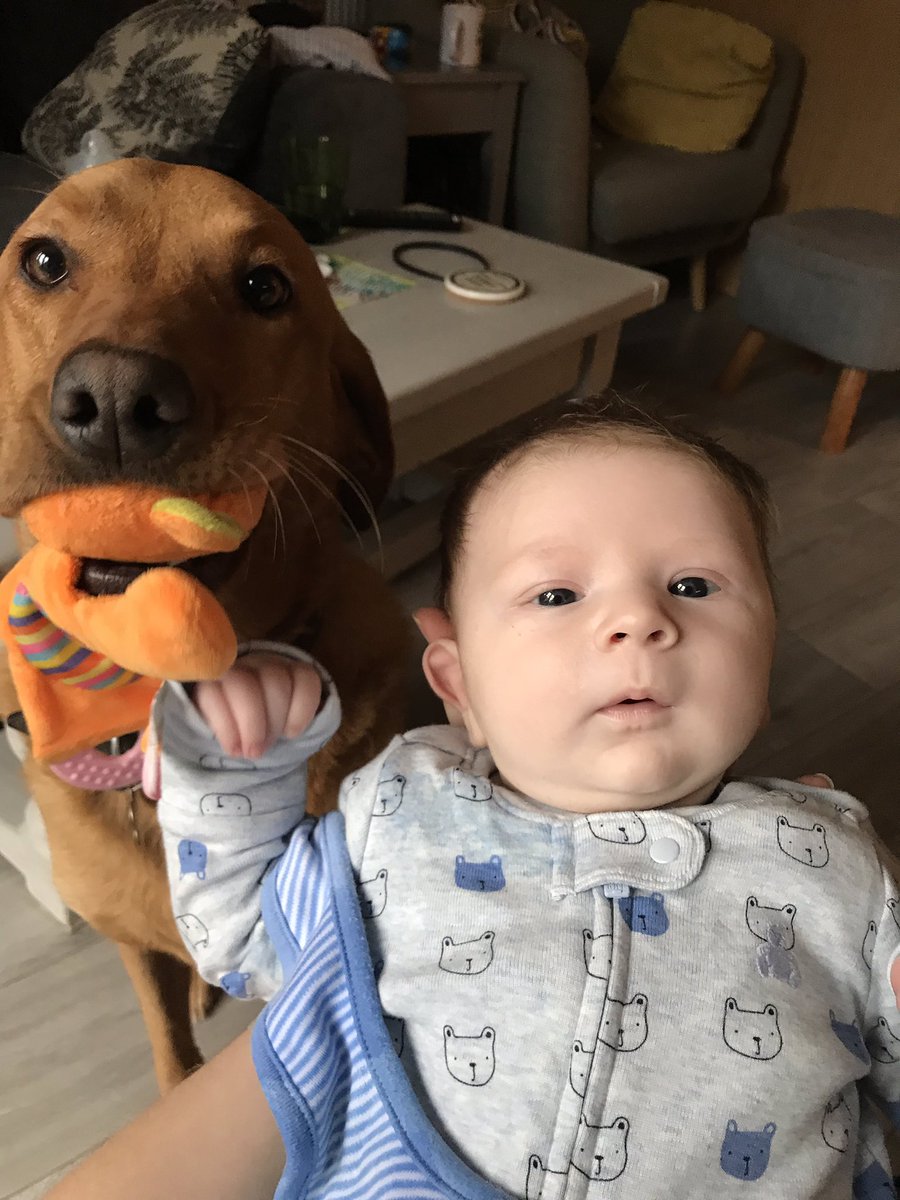 MilldogMay1's tweet photo. Me and my bestie. #yesthatisababytoyinmymouth #sharingiscaring #istolehistoy #itsminenow https://t.co/NAU3BaLIwS