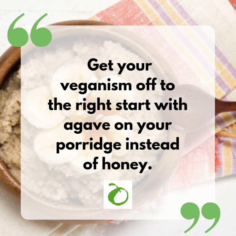 realfoods_uk's tweet photo. #Vegan tip: get your #veganism off to the right start with agave on your porridge instead of honey π― For more tips and vegan swaps, read our #veganarticle here: https://t.co/ijBNktlHIu #whatveganseat #vegano #veganshares #ecofriendly https://t.co/ihBUaYju2b