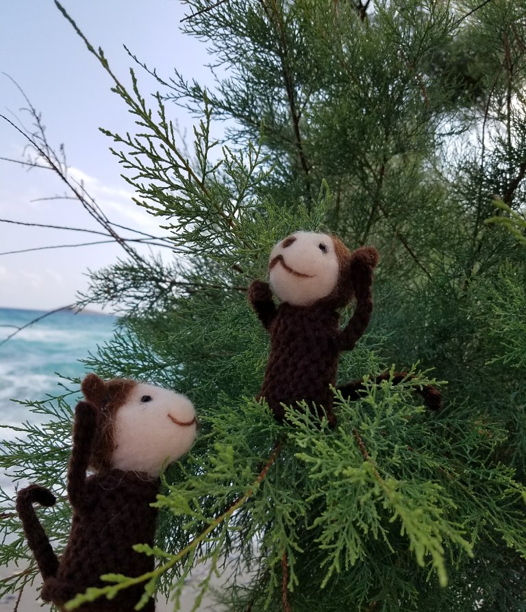 LisaLStauffer's tweet photo. It's #CelebrateYourUniqueTalentDay, so #Monkeys2 are showing off their mad tree-climbing skills.

#TwoByTwo (@Zonderkidz) https://t.co/6pav6HyX4c