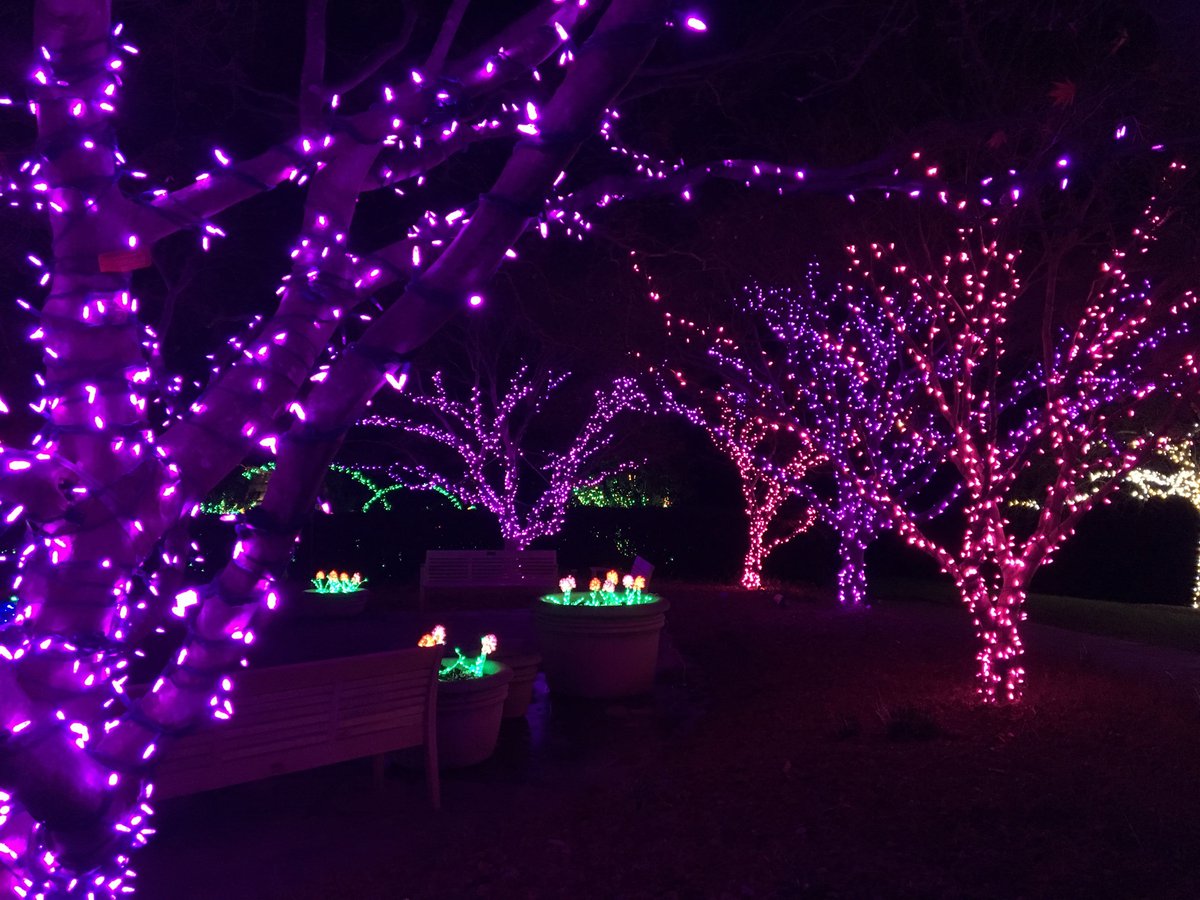 Winter Lights Festival at Seneca Creek State Park