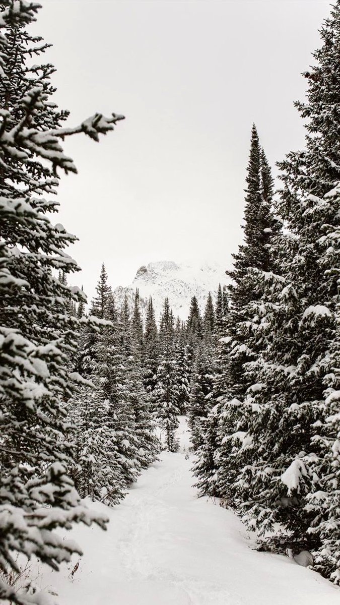Colorado's tweet photo. Gorgeous! "@OFIbanez: From @Colorado" https://t.co/Me33mLKTtW