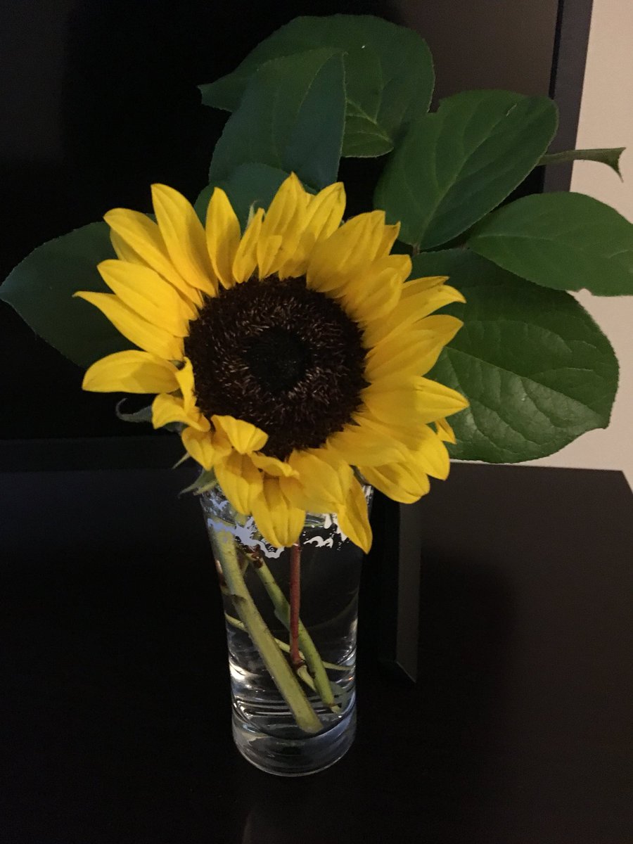 I’m grateful for the support of my <a href="/PGMSinBCPS/">Pine Grove Middle</a> community!