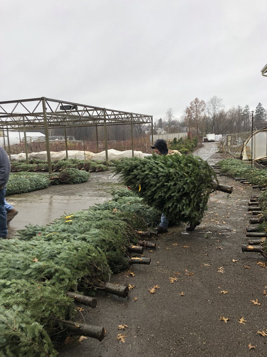 Iannetti Garden Ctr Iannettis Twitter