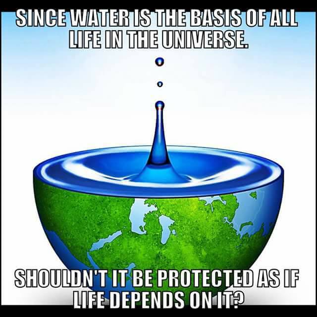 ZaustavimoTTIP's tweet image. Maude Barlow:  Water is not an investment but a fundamental right to be protected.  #StopWaterPrivatization #WaterisLife #remunicipalization #StopCETA #StopTISA #NoISDS 💧💦💧                  lifegate.it/persone/news/m…