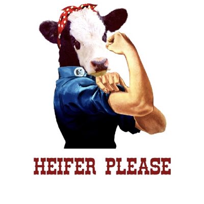 HeiferPlease!!Podcast tweet media