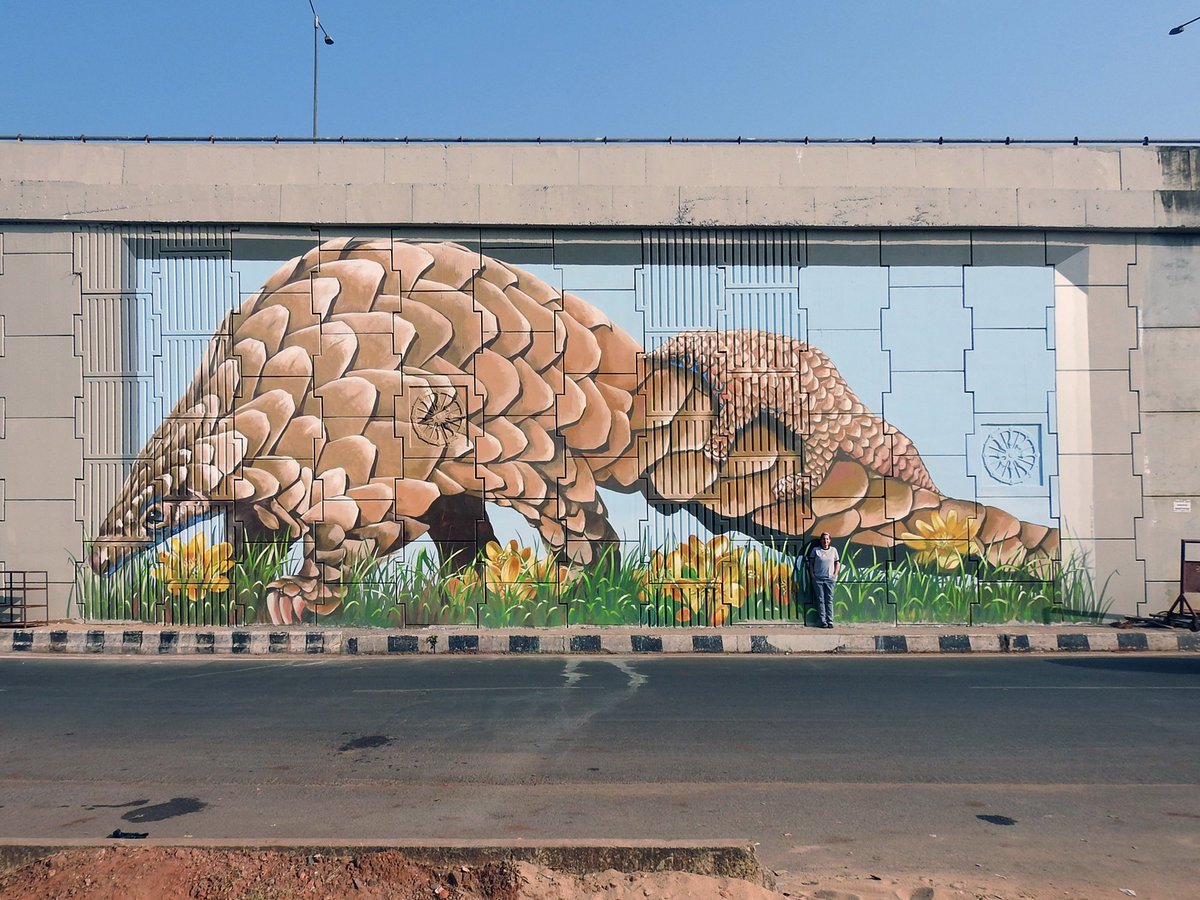 Anat Ronen (@anatronen) on Twitter photo Long time no see. Just got back from #Bhubeneswar #India and painted these #Pangolins project by the <a href="/BakulFoundation/">Bakul Foundation</a> piece is 28'x70', I used the concrete pattern as my grid Long time no see. Just got back from #Bhubeneswar #India and painted these #Pangolins project by the <a href="/BakulFoundation/">Bakul Foundation</a> piece is 28'x70', I used the concrete pattern as my grid