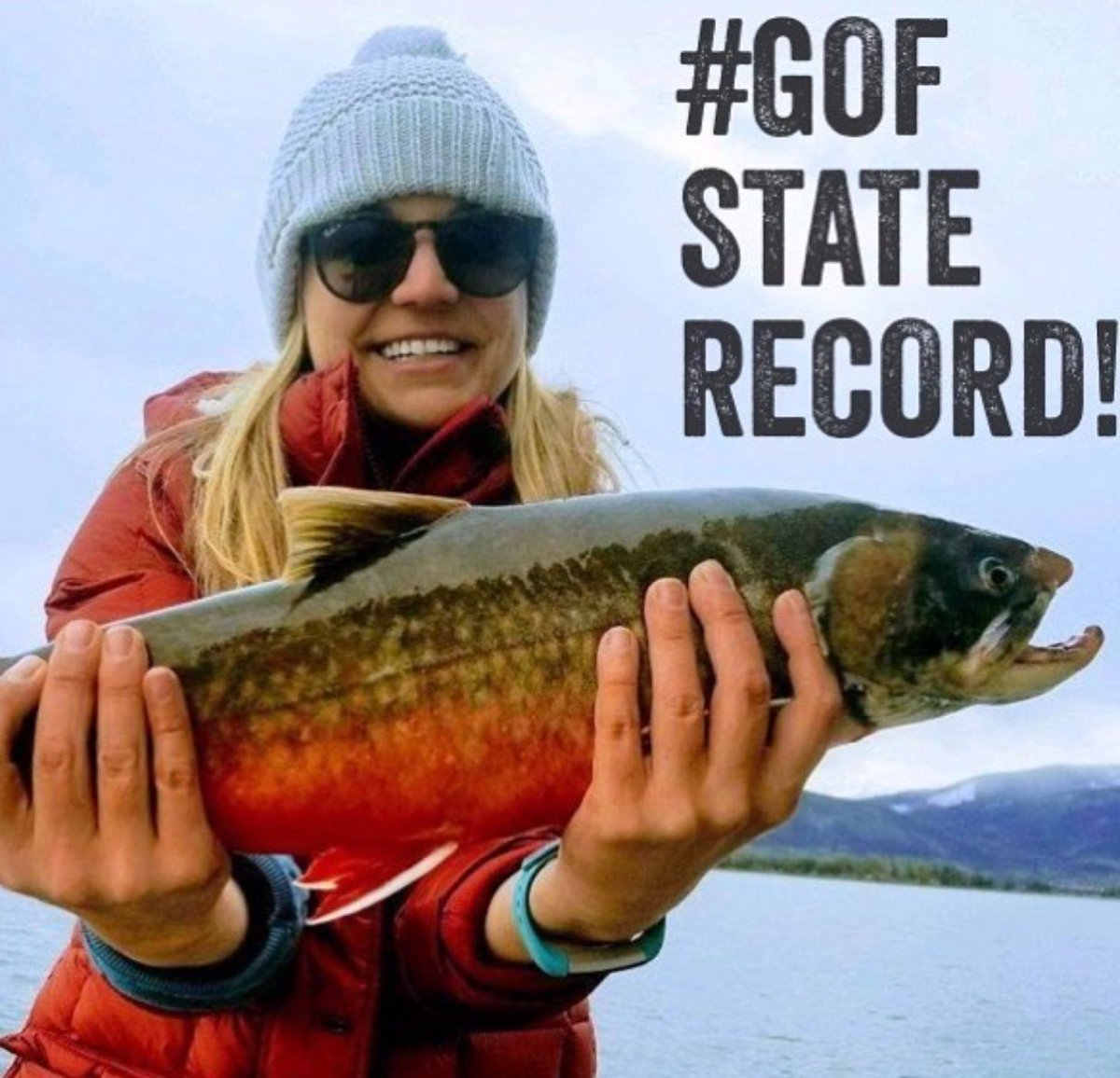 The Girls Of Fishing tweet media