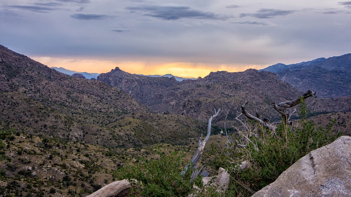 AmericanForests's tweet photo. The Coronado National Forest, located in Arizona, went through 14 different shifts in government land before achieving the form it has today. It includes abundant recreation opportunities, including hiking, birding and even skiing! #RecSpotlight 📷: CEBImagery @CoronadoNF https://t.co/fxAedDHTgo