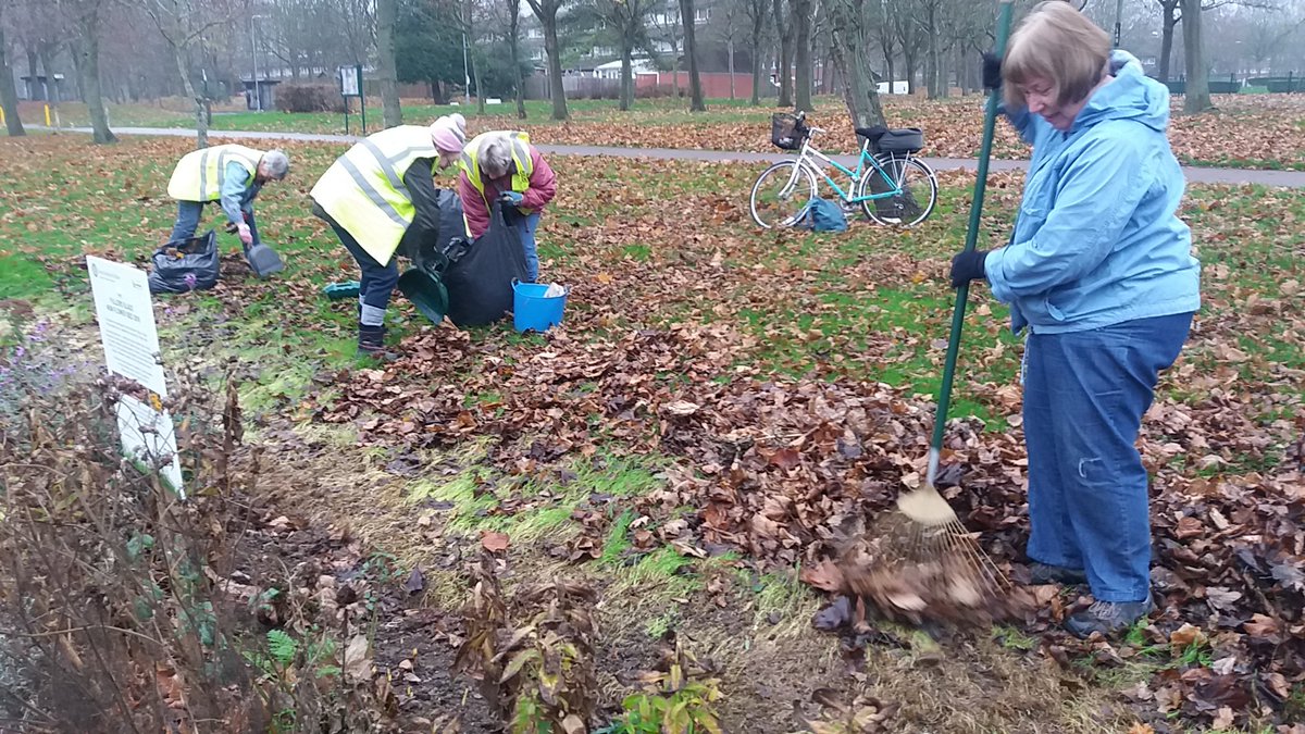Today under a murky November sky we raked the leaves off the new Fullers Slade bed (bagging them up to make leaf compost), then planted lots and lots of pink and white tulips which will be a feast for the eyes in the spring!
