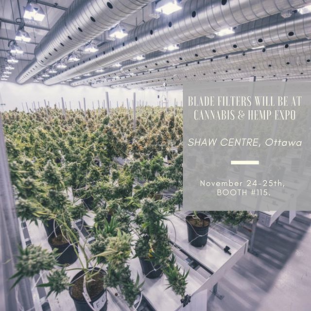 bladefilters's tweet photo. Today and tomorrow! We are at the Shaw Centre for the Cannabis & Hemp Expo. Booth #115! โโโโโโโโโโโโโโโโโโโ
#cannabisandhemp #hemp #cannabis #ottawa #shawcentre #cannabisbusiness #cannabiz #cannabislegalization #cannabisexperts #ottawatourism #inottawa #โฆ https://t.co/PjtKMPui5j https://t.co/Fh3c82orw1