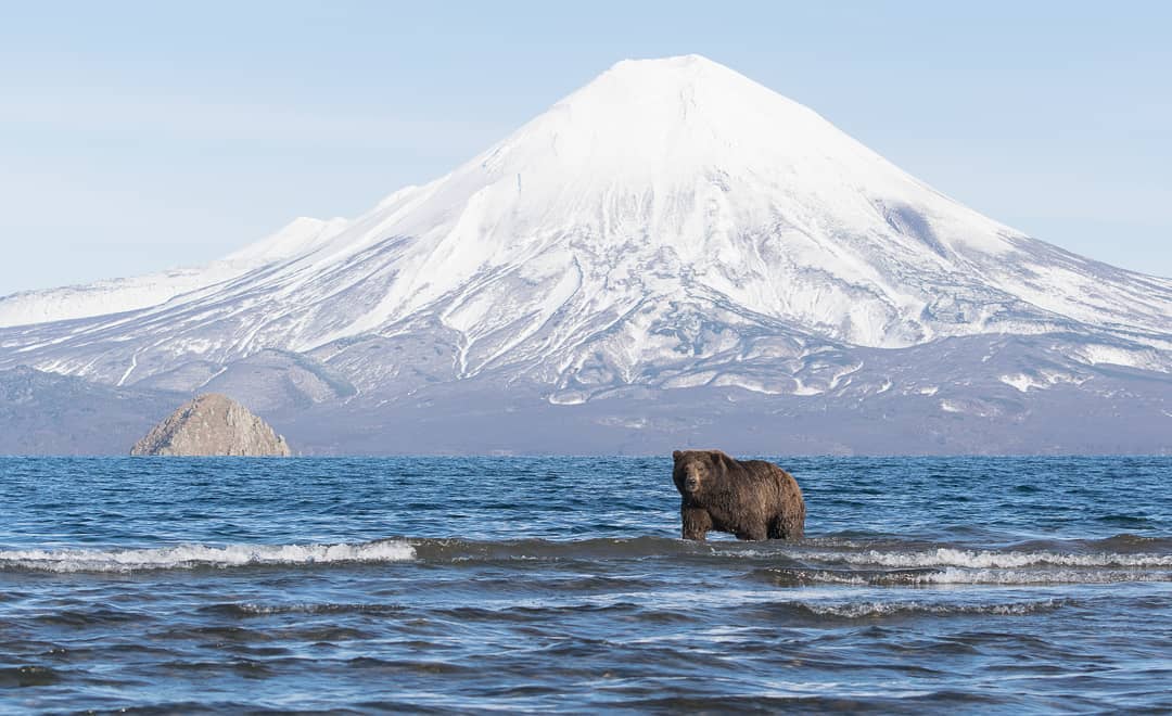 siberian_times tweet picture