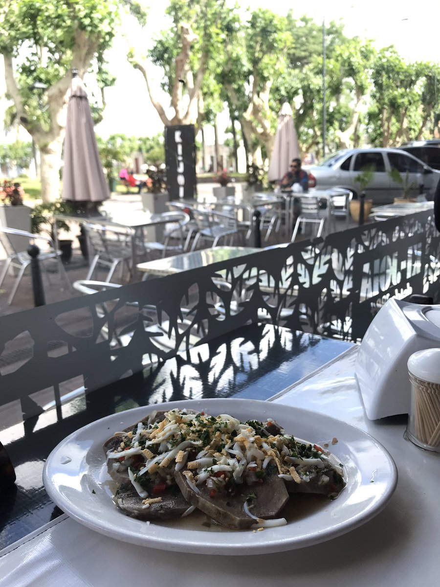 Sara Bodowsky tweet media