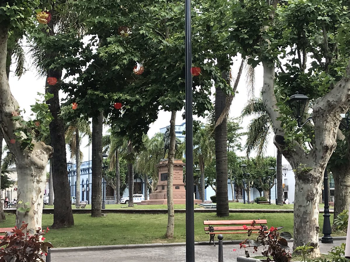 Sara Bodowsky tweet media