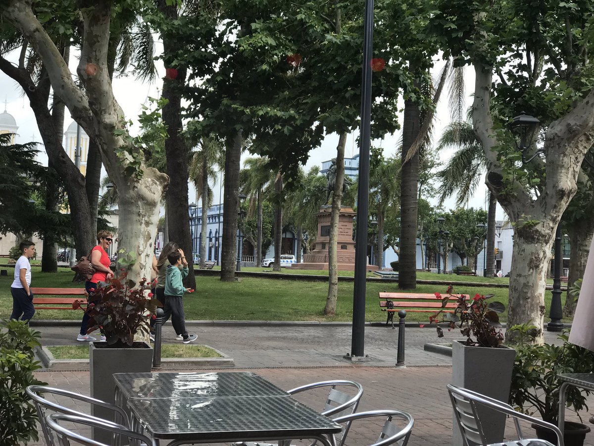 Sara Bodowsky tweet media