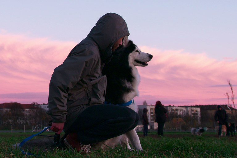 MultifaithAid's tweet photo. If you’re looking for something to watch this weekend, try Netflix’s new docu-series ‘Dogs’. Episode two features Syrian refugee Ayham who is on a desperate quest to reunite with his beloved dog Zeus. Click to see more: https://t.co/Wd7cvBlB7t #refugeeswelcome #multifaithalliance https://t.co/2Rtmls0zOL