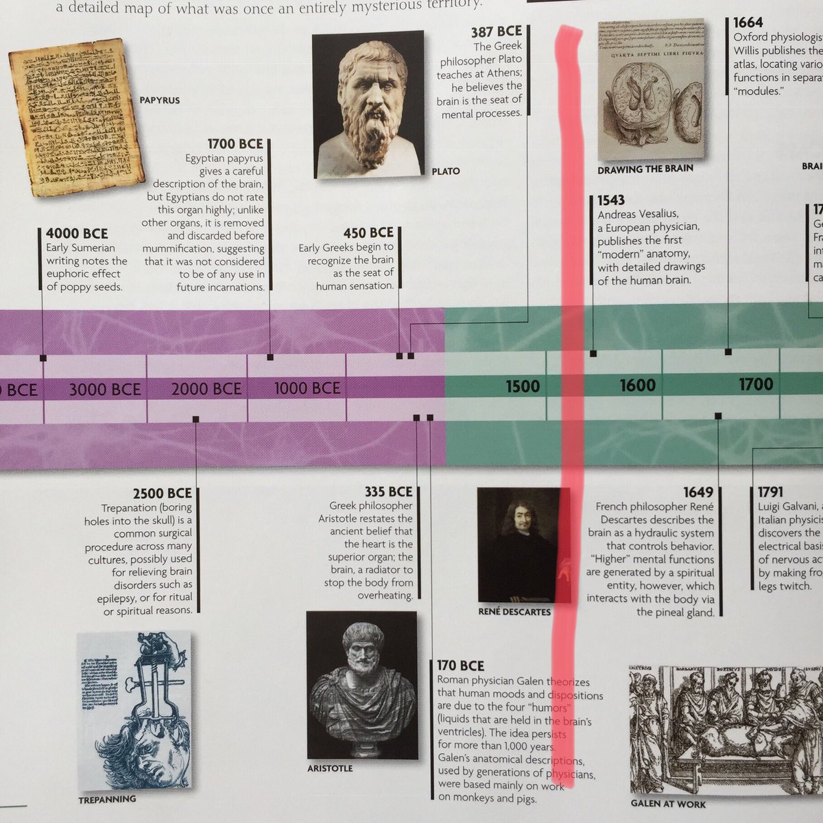 7/ Brain History.Note the gap of several centuries that separates glimpses of light and darkness.Be careful what you learn from history.The wisest humans of 1500 knew less than high school graduates today, simply because we’re standing on the shoulders of giants.