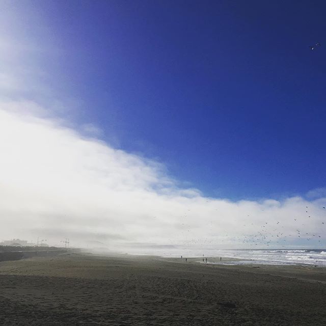 Natalie Doherty tweet media