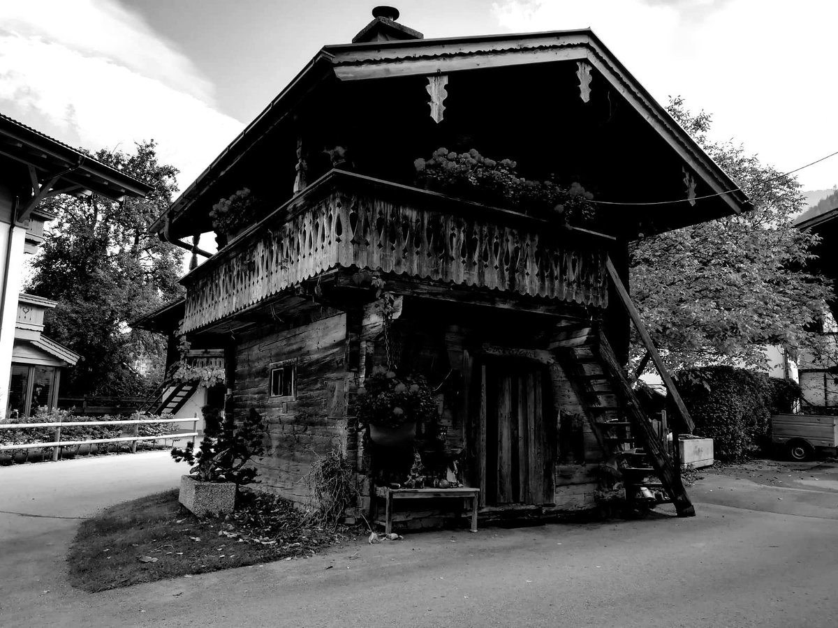 katrinstadelm's tweet photo. #blackandwhitechallenge 

day 3 / 7
🗓️ 7 days
 📸7 pictures
⛔️no people
⛔️no text https://t.co/u12Sl64qvA