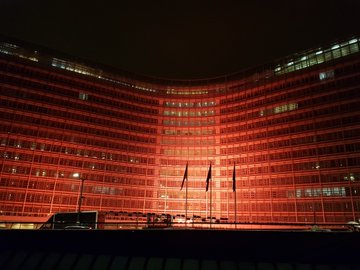 View image on Twitter