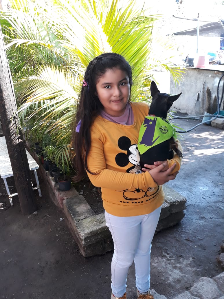 VillafuerteAle_'s tweet image. Enhorabuena compañeros de todo el país

#SinMordidas