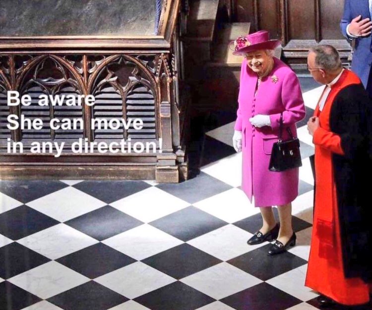 MrSchwenn's tweet image. Get it? She’s the queen! 😀#chesshumor @chesscom