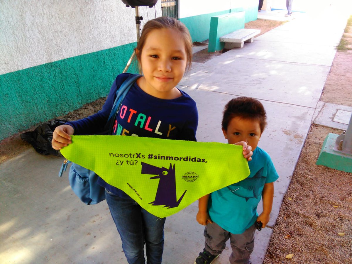 GeneraGenerando's tweet image. Ya estamos contribuyendo para tener un México #SinMordidas