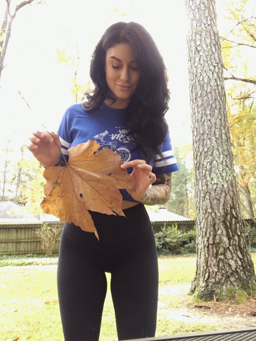 &lsquo;Leaf&rsquo; me your best foliage pun below 🍁 #dadjokes https://t.co/vpLnlwH89e<a href="/tag/dadjokes"class="tags">#dadjokes</a>