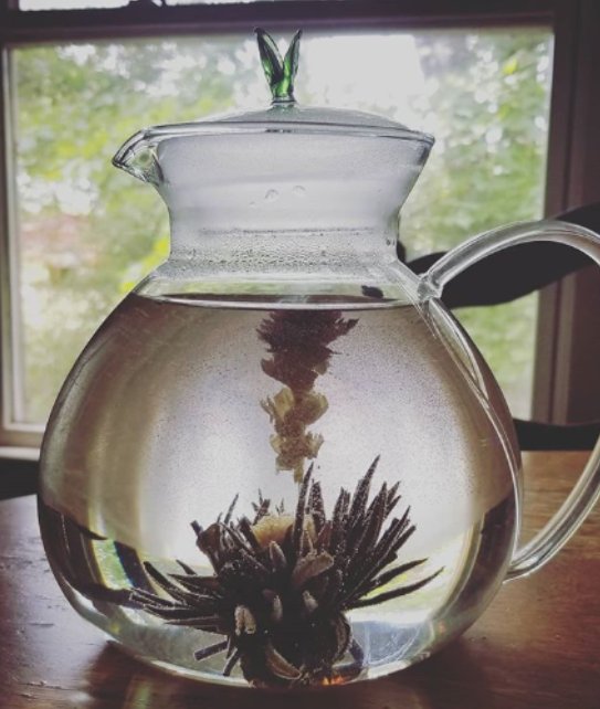 PrimulaProducts's tweet photo. Just a little teapot.
📷: @wrensnest81
#hottea #teatime #teafreak #teastagram #teasofinstagram #instagood #picoftheday #nofilter #primulatea #teaaddict #teastagram #teasofinstagram #teajournal #teamoment #tealife #tealovers #teafreak #myfittea #floweringtea #bloomingtea https://t.co/f39rQIXd5z
