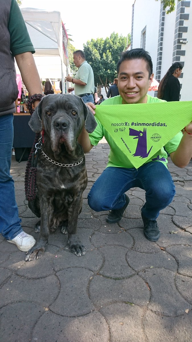 Kary_mexplorer's tweet image. Por un México libre de corrupción!! 
#SinMordidas 🐶 @MEXXICOLC