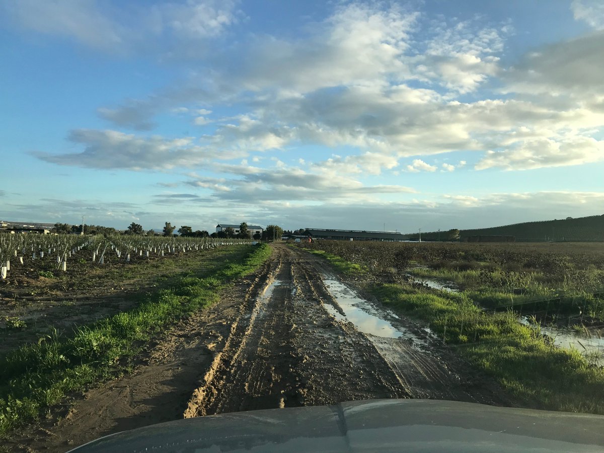 A_C_H_D_VALLE's tweet photo. Así se encuentra hoy Sábado el camino después de varios días de lluvia. La zanja ha aumentado de tamaño, ahora tiene enormes agujeros, que hemos intentado tapar con piedras para que puedan pasar los vehículos.@aytoecija @rodrigosanhar @CHGuadalquivir #Ecija https://t.co/F8N5lJPSBy