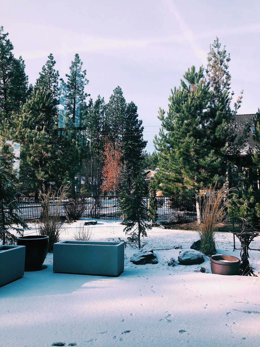 kayrnstfall's tweet photo. First snow ❄️☃️
#นักเรียนแลกเปลี่ยน #afs57 #afs58 #afsusa https://t.co/HFMRminndi