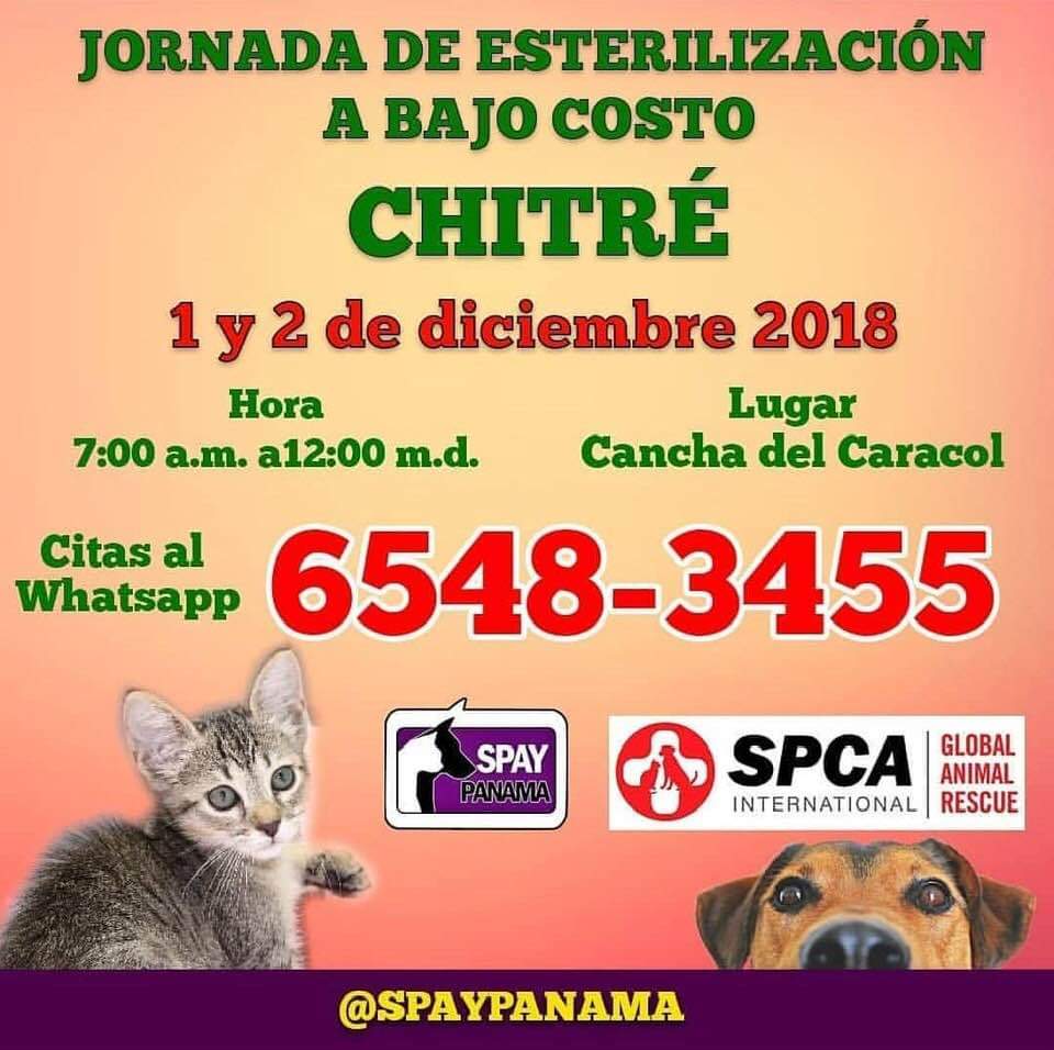 Chitreanos's tweet photo. Próxima jornada de esterilización https://t.co/vyvnuLuDfs