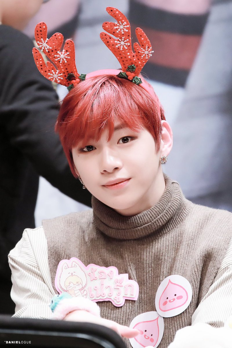 DANIELOGUE : 다니엘로그 tweet media