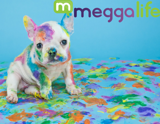 meggarevolution's tweet photo. Sometimes life can get a little messy! Plan ahead with https://t.co/baasqLpRFo! https://t.co/Fm0fDBP9xH