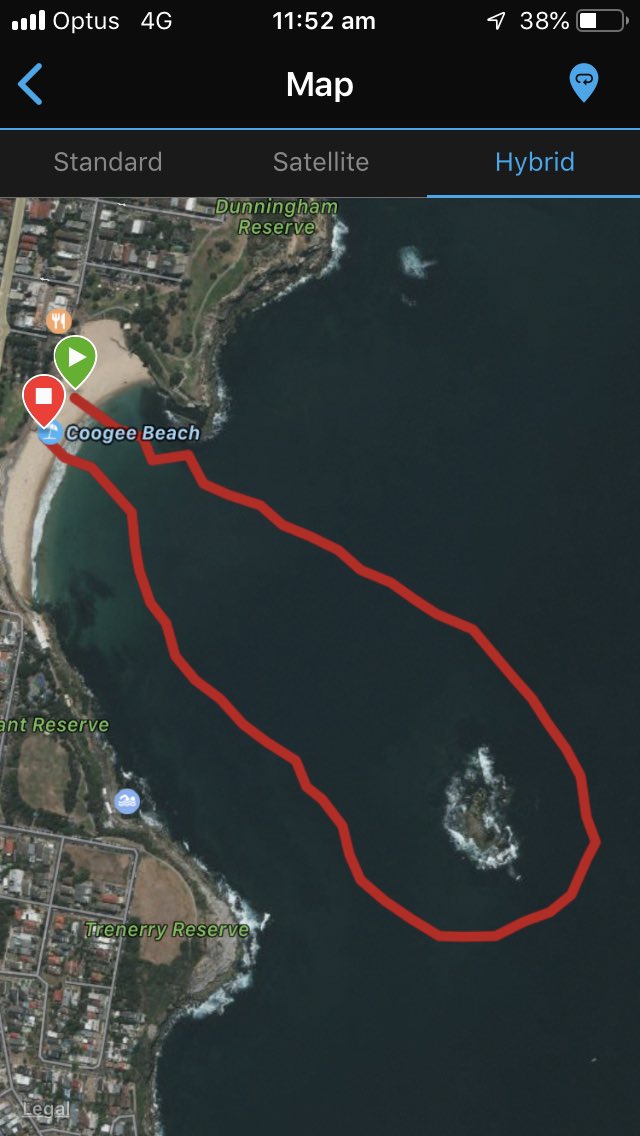 CookSuck's tweet photo. @oceanswims Was in the last wave to go the 2.4. Very tough swell and sweep, everyone quite scattered. Quite a wide birth and cold patch on east-south edge. Tracked 2.6k on the Garmin. Fantastic stuff!!! https://t.co/maU4Hn6xfg