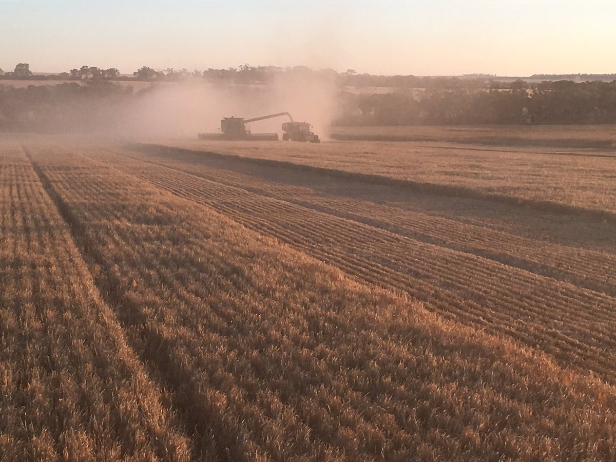 larke_craig's tweet image. 150 hours down on these 2 and no pressing issues - barring extra dust.  👌🏻👍🏼#SeedTerminator #weedsmart