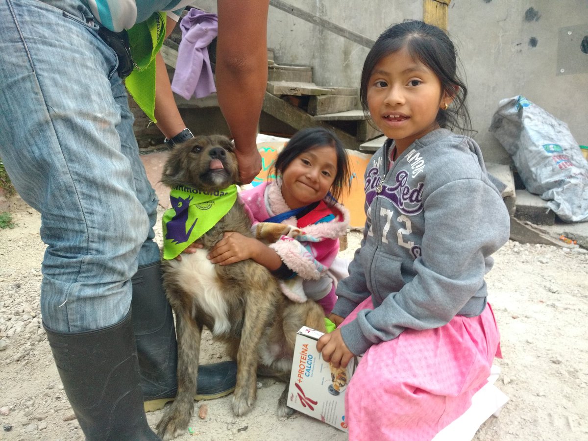 GeneraGenerando's tweet image. San Cristóbal de las Casas.

La vibra positiva #SinMordidas